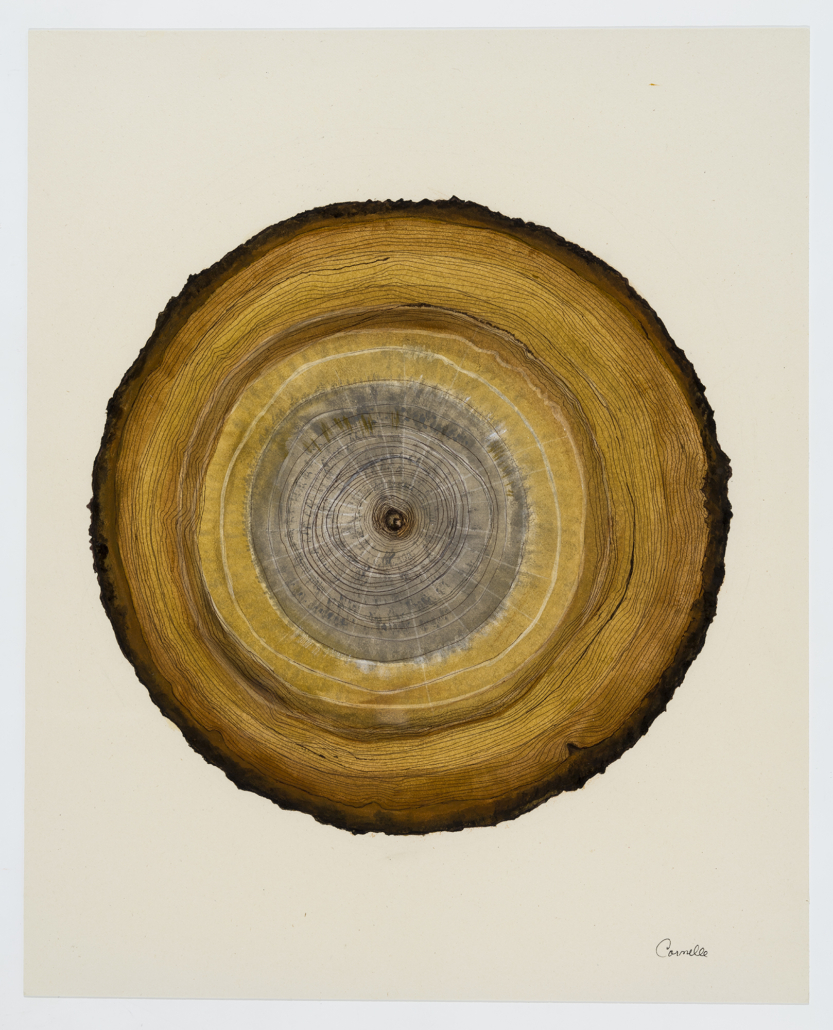 Art contemporain Carmelle Pilon