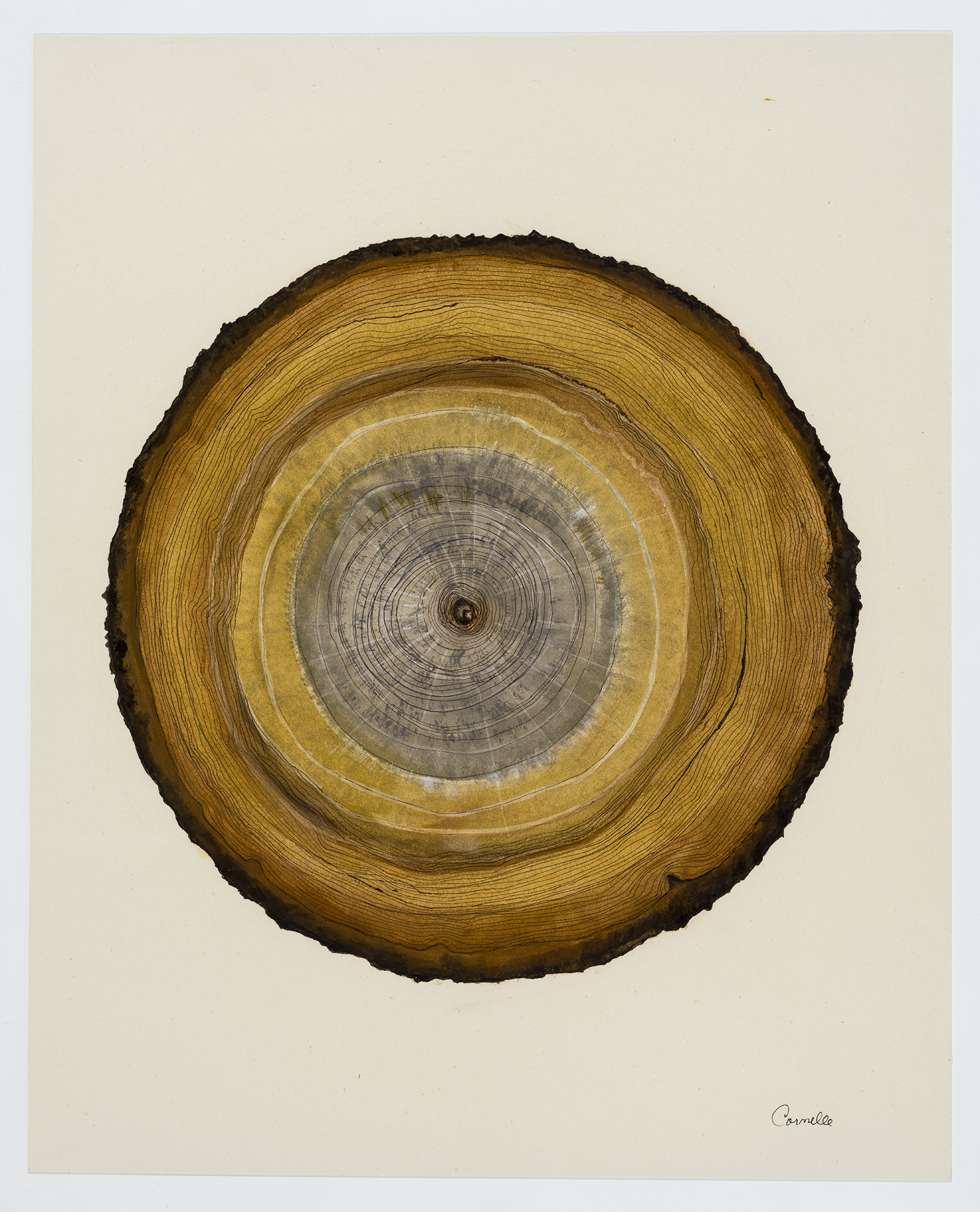 Art contemporain sur le réchauffement climatique, par Carmelle Pilon