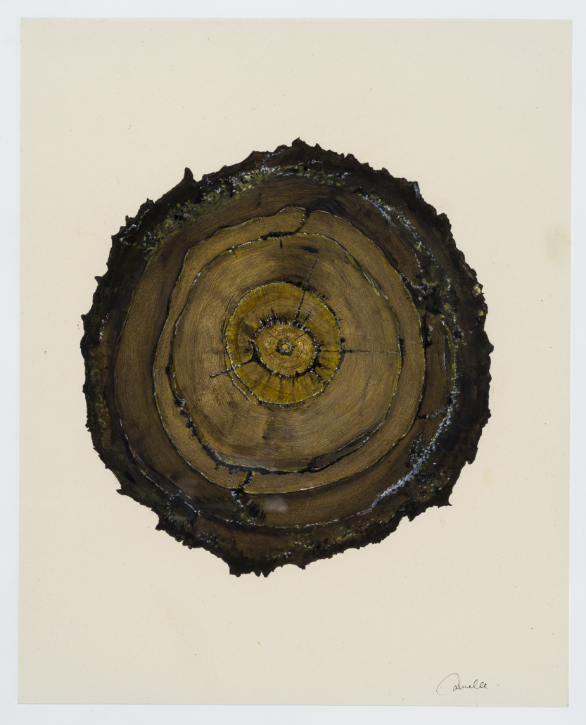 Art contemporain sur le réchauffement climatique, par Carmelle Pilon