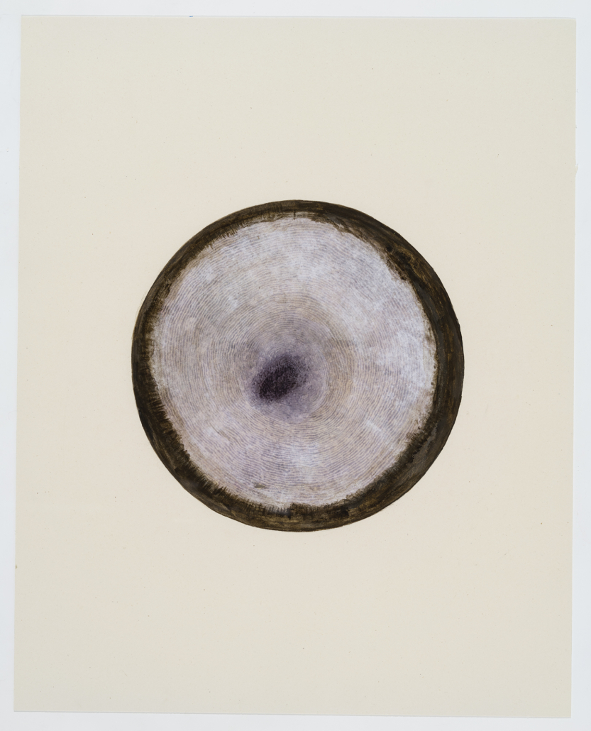 Art contemporain sur le réchauffement climatique, par Carmelle Pilon